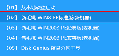 新毛桃主菜单界面