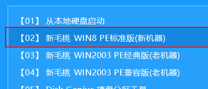 新毛桃主菜单界面