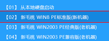 新毛桃主菜单界面