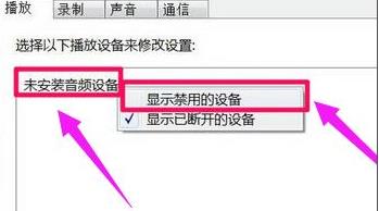 未安装音频设备